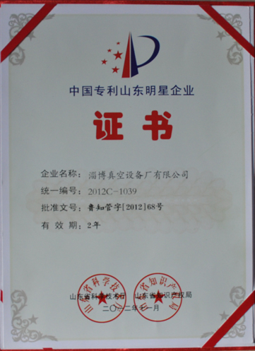 公司被山東省科學技術(shù)廳，山東省知識產(chǎn)權(quán)局評為中國專利山東明星企業(yè)